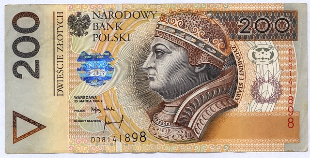 Jakie są cele zaciągania pożyczek krótkoterminowych?