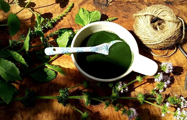 Chlorella Yaeyama – czym różni się od standardowej chlorelli?