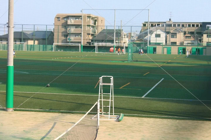 Siatki sportowe do ogrodu — jak zorganizować mini-boisko i zabezpieczyć piłki przed utratą?