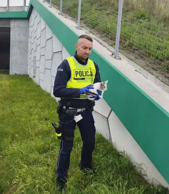 Policjanci uratowali zabłąkanego kotka przy autostradzie A1 - Wiadomości Policja Kujawsko-Pomorska