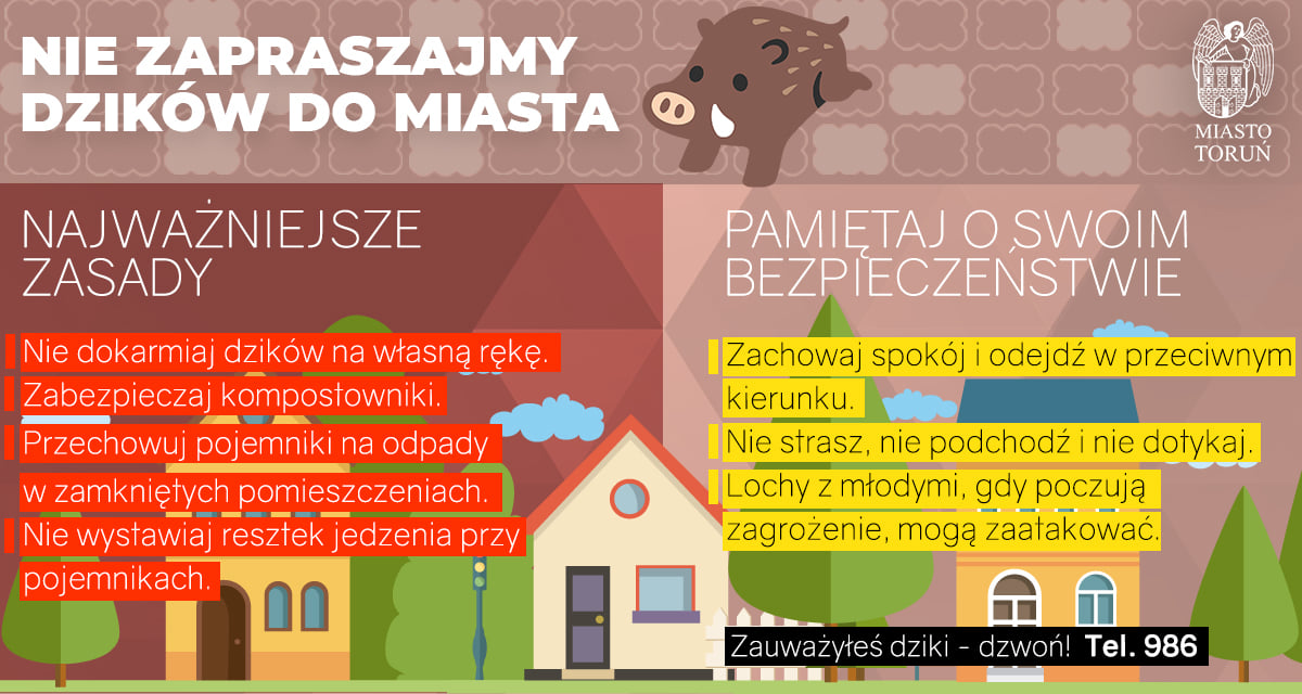 Grafika z zasadami obchodzenia się z dzikami
