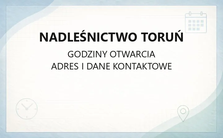 Nadleśnictwo Toruń - kontakt, leśnictwa, drewno i edukacja leśna