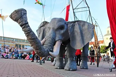 Grafika promocyjna wydarzenia Festiwal Teatrów Ulicznych w Toruniu — 1–3 maja 2026