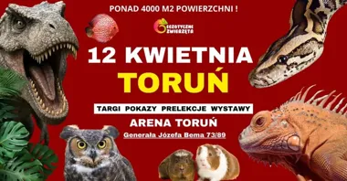 Grafika promocyjna wydarzenia Egzotyczne Zwierzęta w Toruniu: terrarystyka, akwarystyka, botanika i więcej