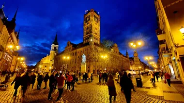 Wycieczka Autokarowa Toruń - Biskupin 2026
