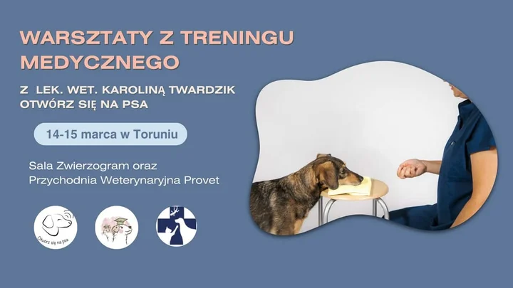 Grafika promocyjna wydarzenia Warsztaty hybrydowe z treningu medycznego kooperacyjnego — Toruń