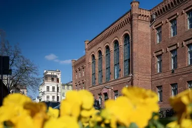 W Toruniu startują bezpłatne szkolenia brydżowe, które uczą więcej niż gry