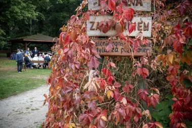 Ognisko, śpiew i rozmowy. Seniorzy spotkali się z władzami Torunia na Barbarce