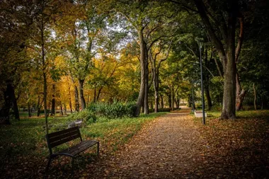Dwie jesienne trasy z Torunia. Jedna ma 5 km, druga prowadzi aż do Ciechocinka