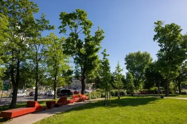 Upały w Toruniu mogą być groźne. Służby przypominają o zasadach