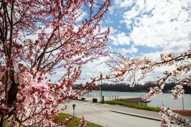 Toruń szykuje weekend pełen premier, turniejów i wielkich powrotów