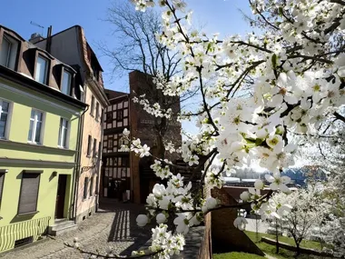Toruń wchodzi w weekend pełen nauki sceny i koncertów