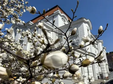 Wielkanocny weekend w Toruniu rozciąga się od Matisse’a po forty i klubowe noce