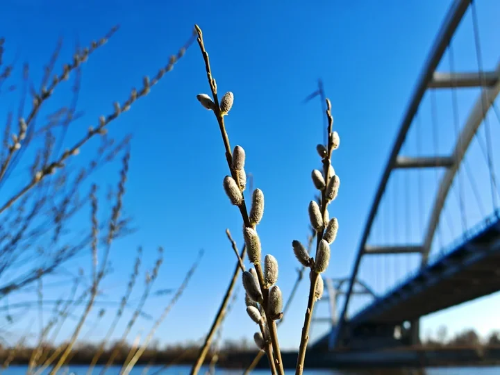 Weekend w Toruniu pełen wystaw, koncertów i wydarzeń z okazji Dnia Kobiet