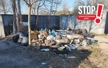 Dzikie wysypiska w Toruniu – ponad 1,1 tys. ton odpadów zlikwidowane, problem wciąż widoczny