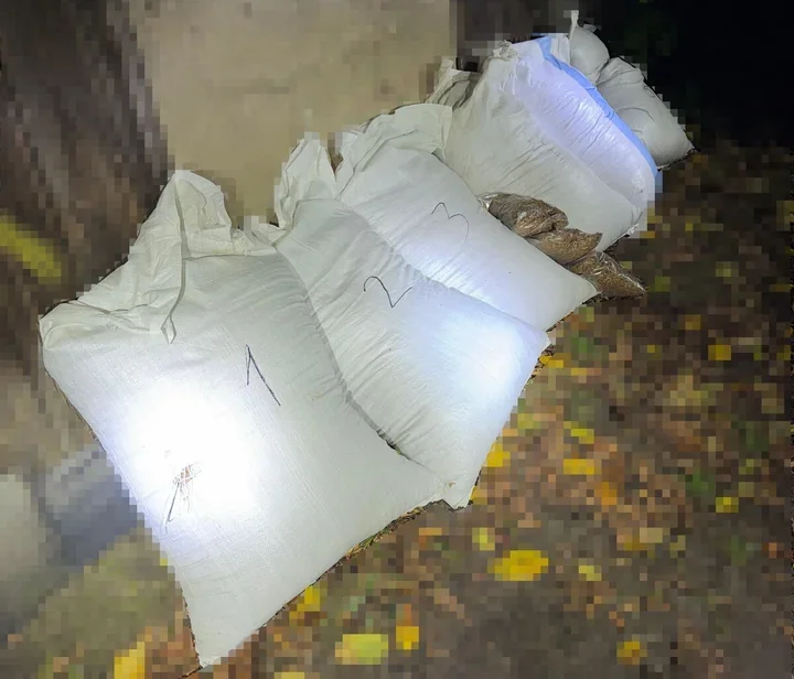 91,5 kg tytoniu bez akcyzy. Policja zabezpieczyła go w Toruniu