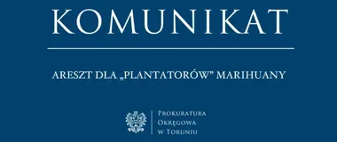 Tymczasowy areszt po odkryciu plantacji marihuany pod Chełmnem