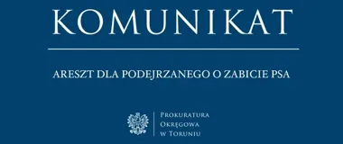 Tymczasowy areszt po zarzucie zabicia psa ze szczególnym okrucieństwem