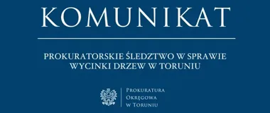 Śledztwo w sprawie wycinki drzew przy budowie ronda w Toruniu