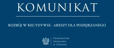 Tymczasowy areszt po rozboju w Toruniu. Podejrzany usłyszał zarzuty recydywy
